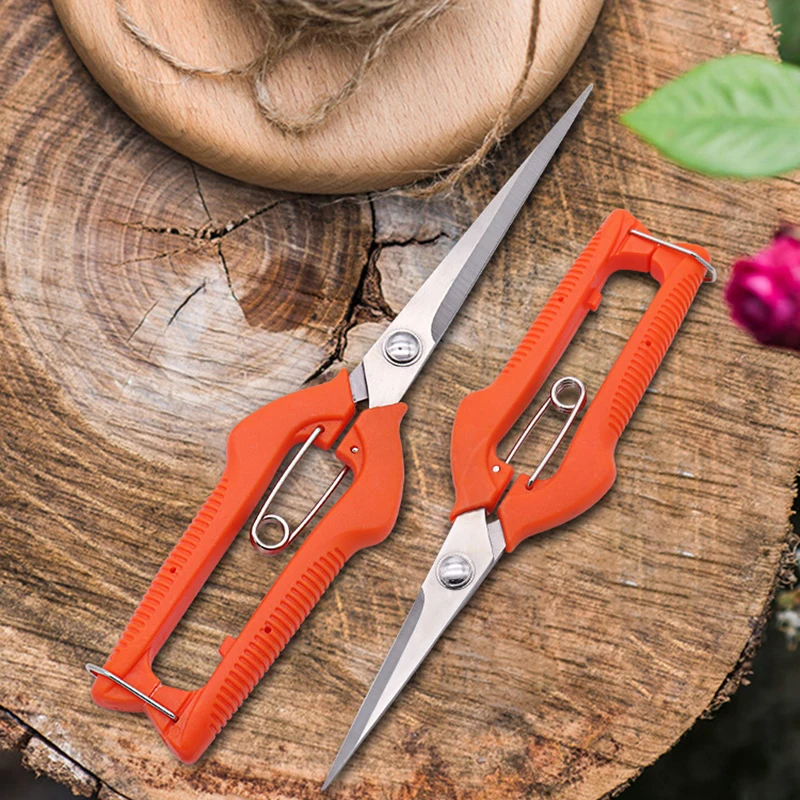 Tijeras para uvas, tijeras de  - Furniture Joining Hardware reseña y precio
